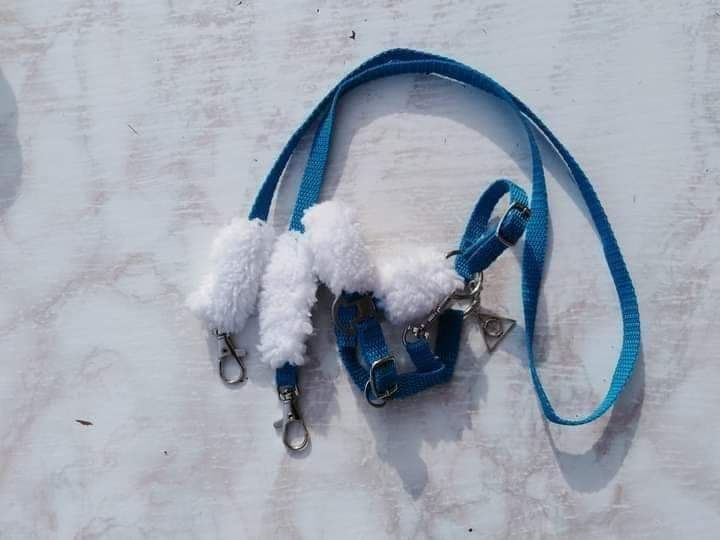 Kalendarz adwentowy 24 okienka