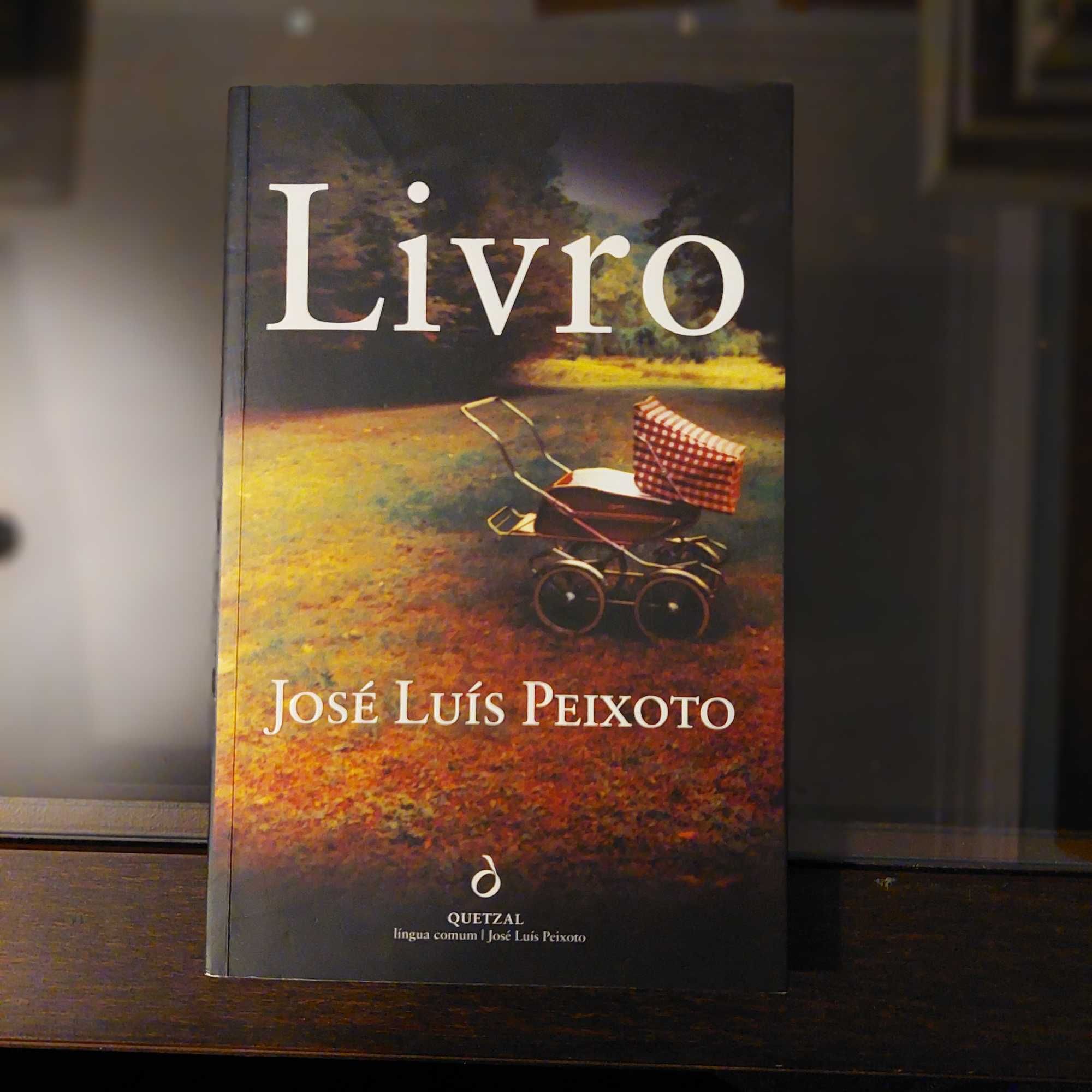 José Luís Peixoto - Livro