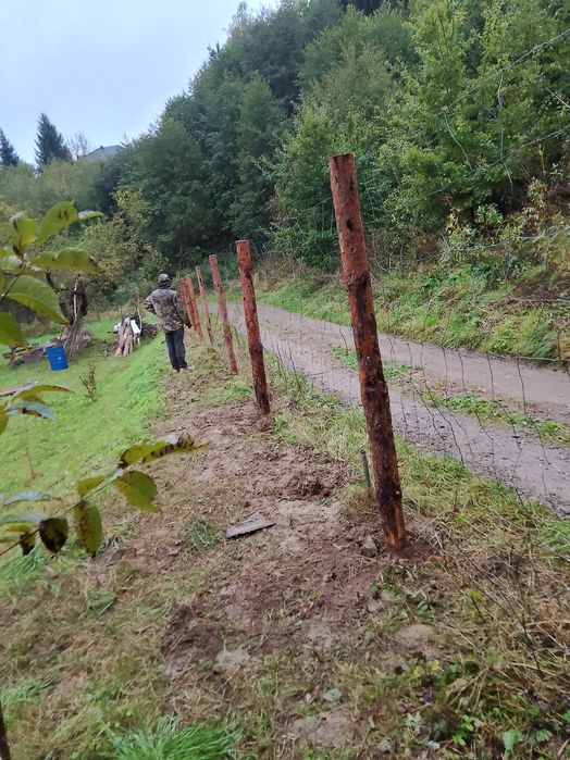 Ogrodzenia z siatki leśnej montaż Malowanie betonowych ogrodzeń
