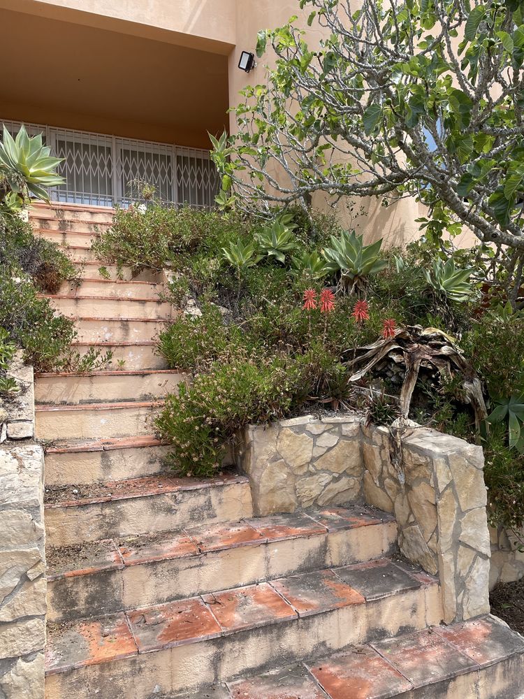 Limpezas de terrenos e jardins