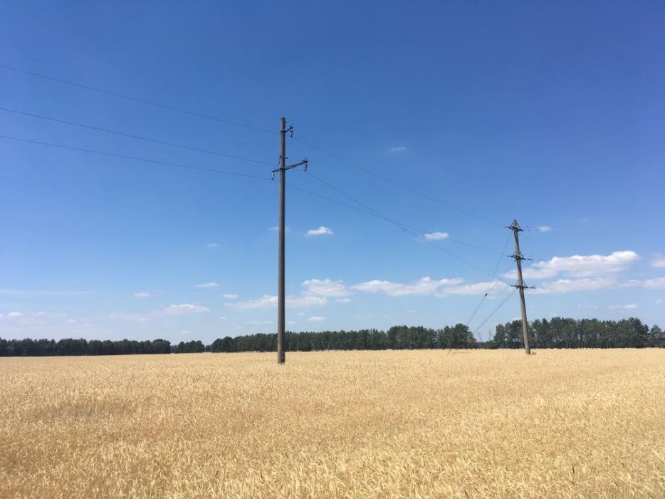 Участок 4 га в Макаровском р-не, Наливайківська с/р