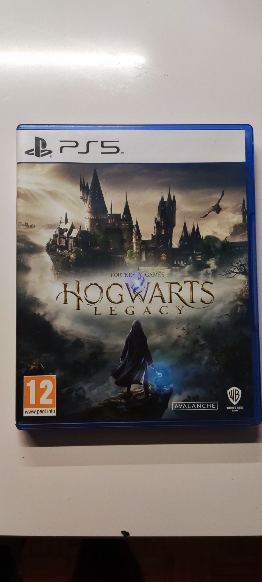 hogwarts legacy ps5