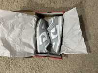 Nike Dunk Grey Fog