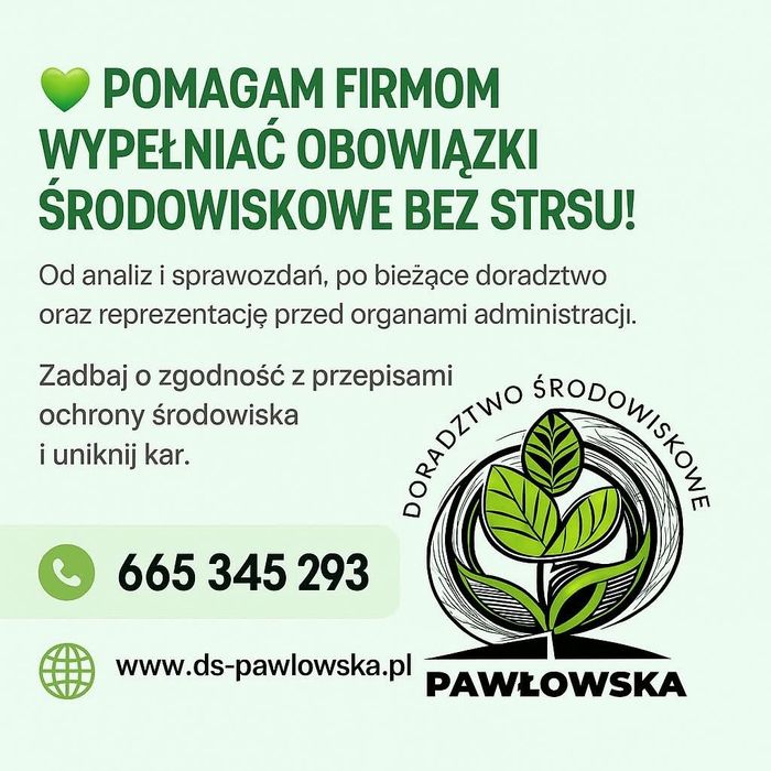 BDO,KOBIZE,LUCID, AUDYTY, EUDR sprawozdania  stała obsługa