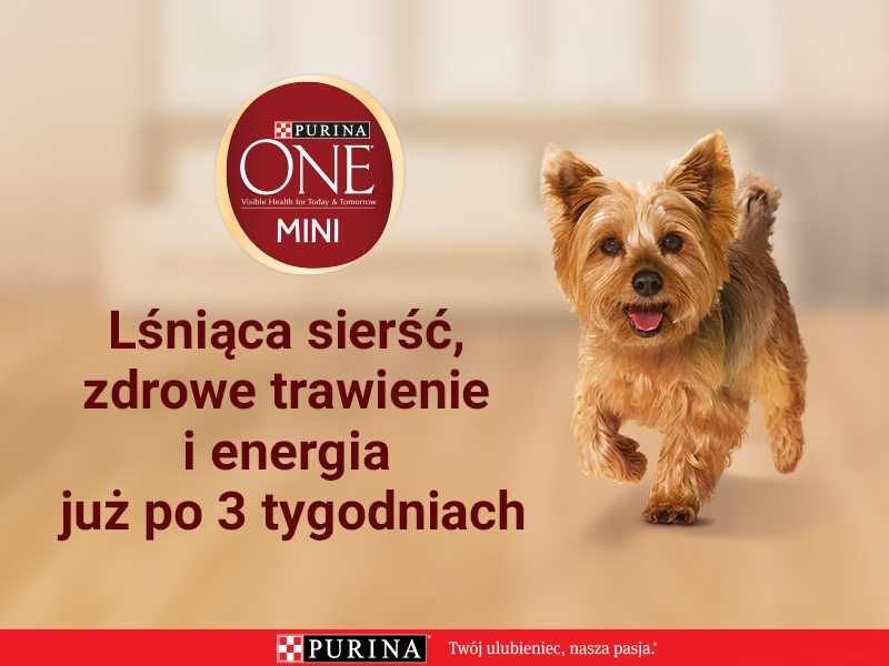 Sucha i Mokra karma dla psa ras miniaturowych Purina One Mini Delicate