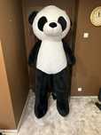 Maskotka panda 200cm