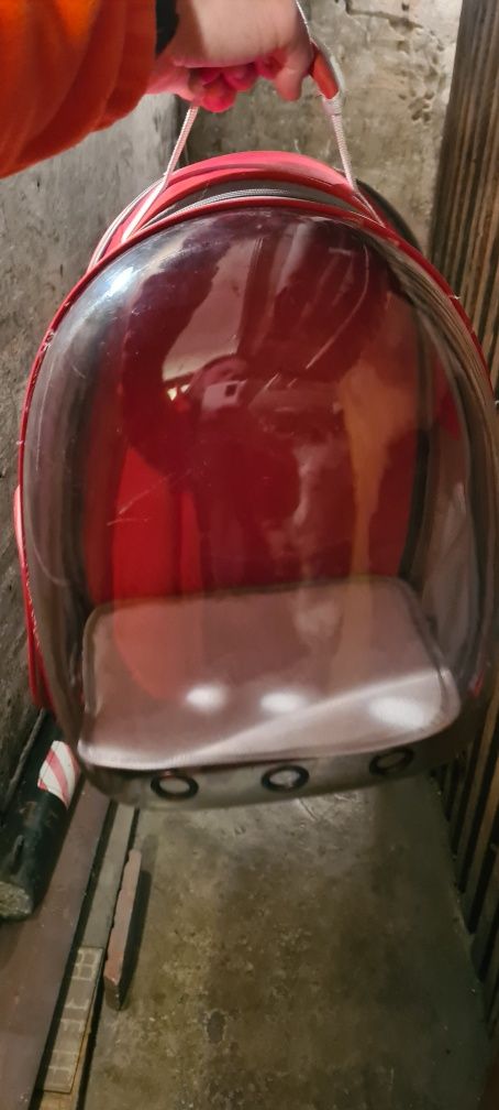 Plecak odcienie czerwieni Torba transportowa czerwony kot pies