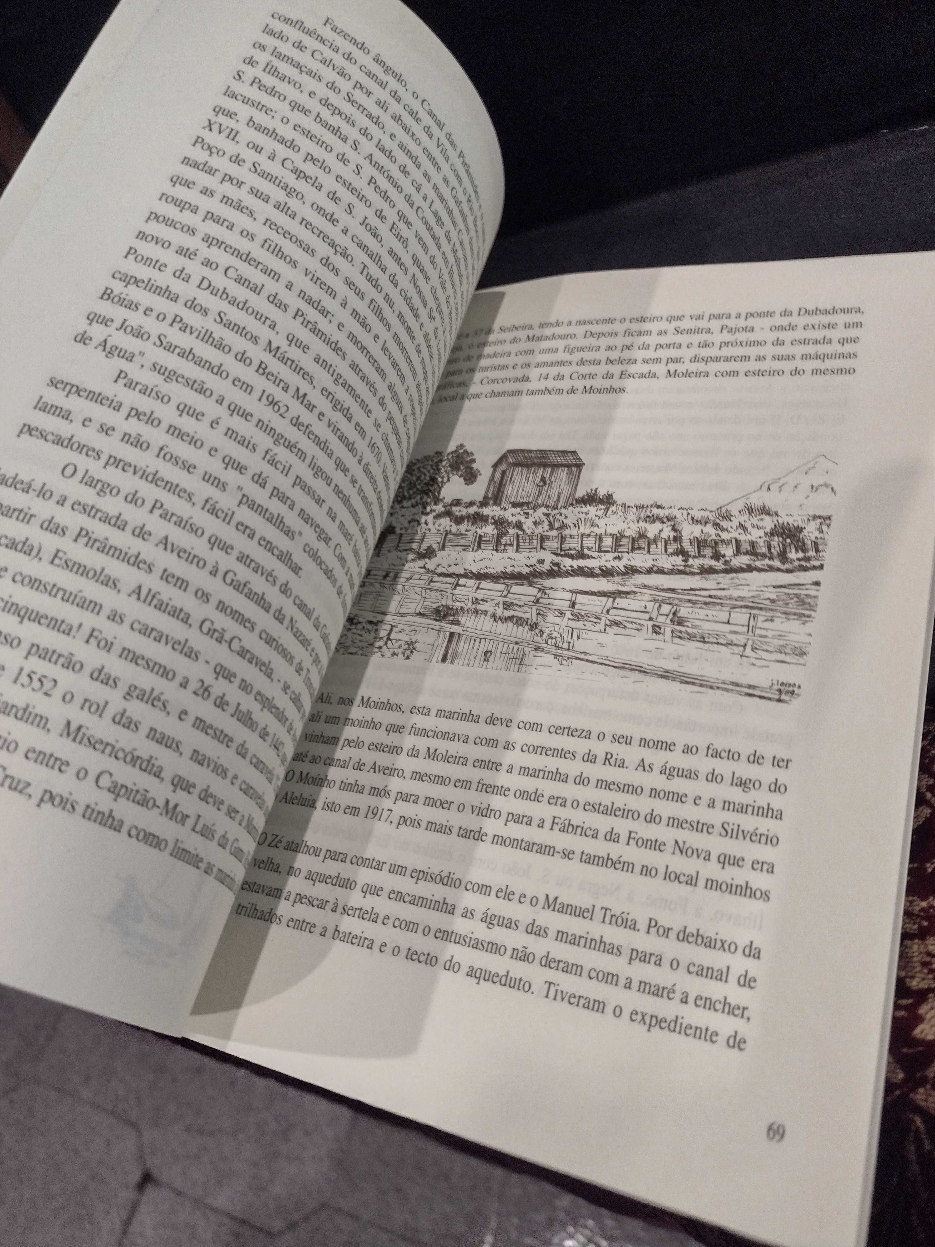 A Ria de Aveiro - João Pereira de Lemos