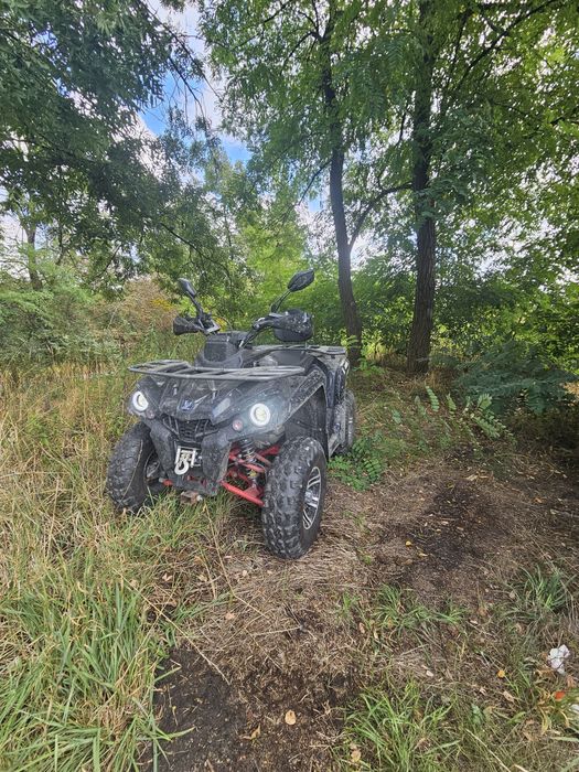 Quad wynajem na doby MIkillon Hammer