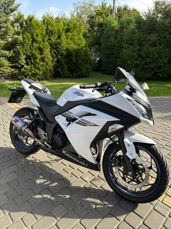 Kawasaki Ninja 300 (A2)