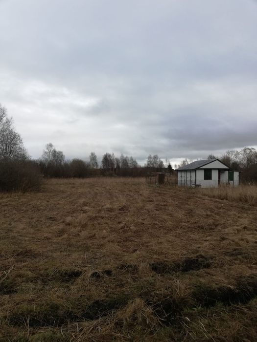 Działka 1000m*300 m od 1 linii brzegu i wejścia na plażę NR 45*Zamiana