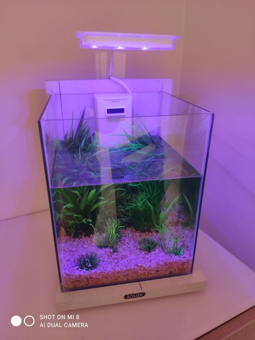 Aquário Zolux Jalaya 10l