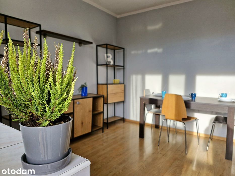 Dwustronne 3-pokojowe mieszkanie z balkonem otoczone zielenią