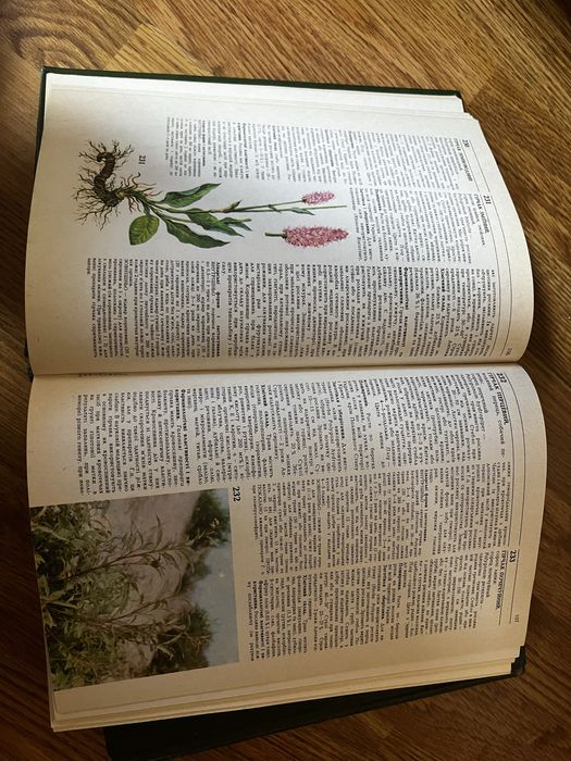 Книга Лікарські рослини 1990