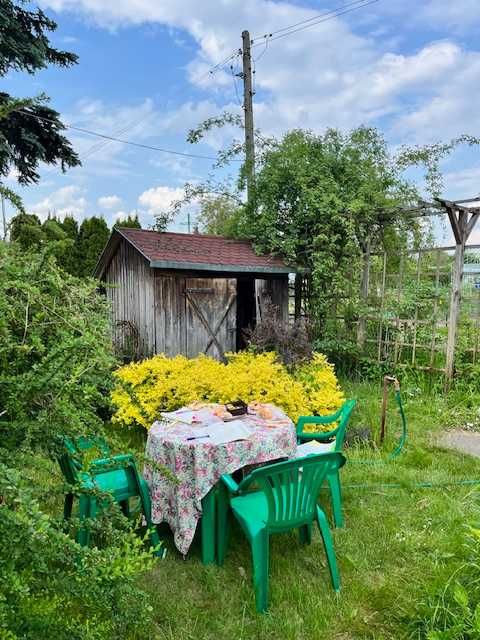 Działka ROD z domkiem i pięknym ogrodem 786 m2 - Brodnica