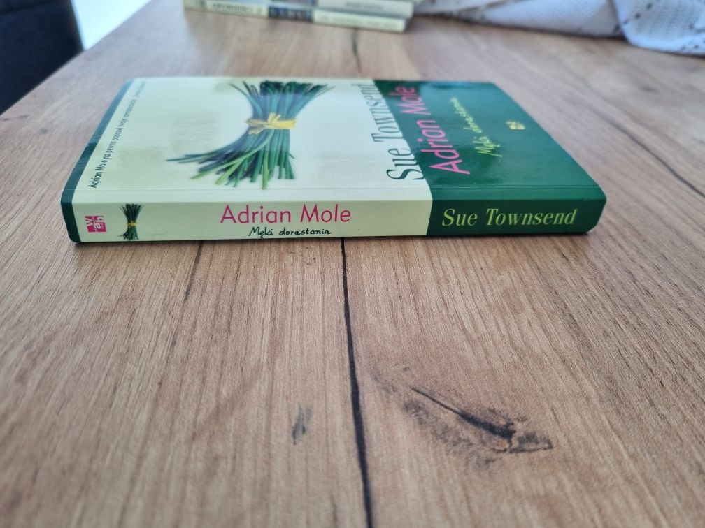 ,,Adrian Mole Męki dorastania" Sue Townsted