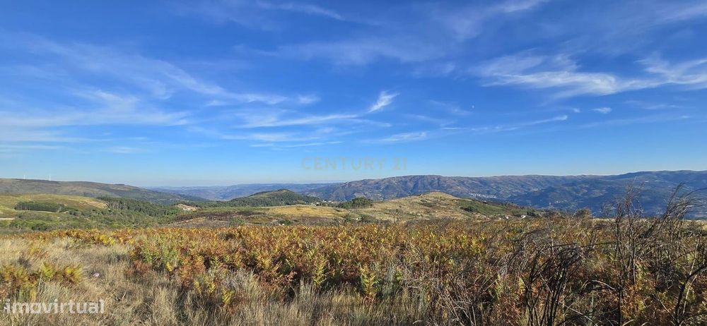 Terreno à venda em Gestaçô, Baião - Oportunidade Única!