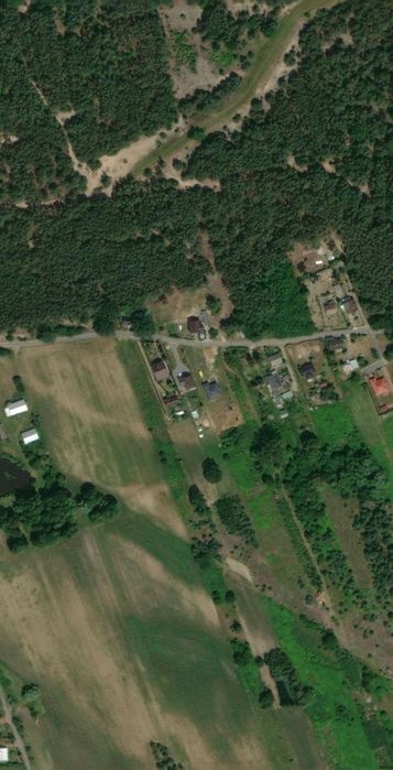 Działka w Jordanowie z lasem