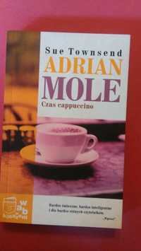 Adrian Mole Czas Cappuccino