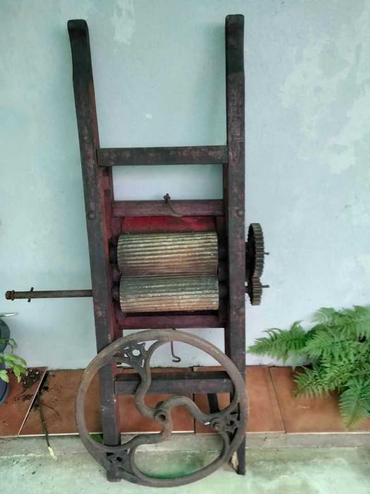 Espremedor / Relador de uvas