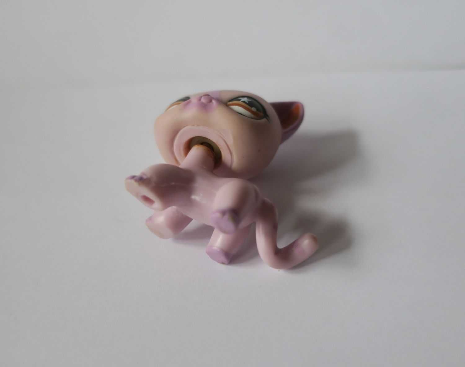 Kot shorthair littlest pet shop kotek