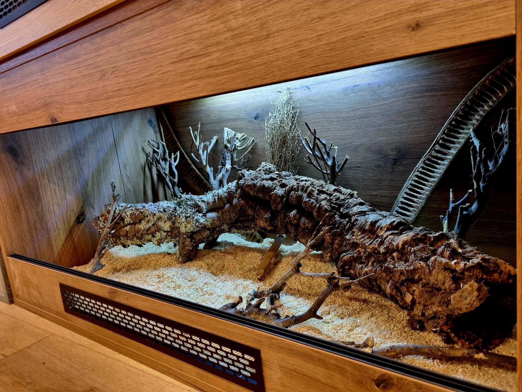 Terrarium 100x50x50 wąż zbożowy pyton boa