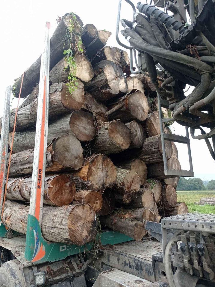 DREWNO OPAŁOWE  BUK grab  SEZONOWANE SUCHE drewno kominkowe bukowe