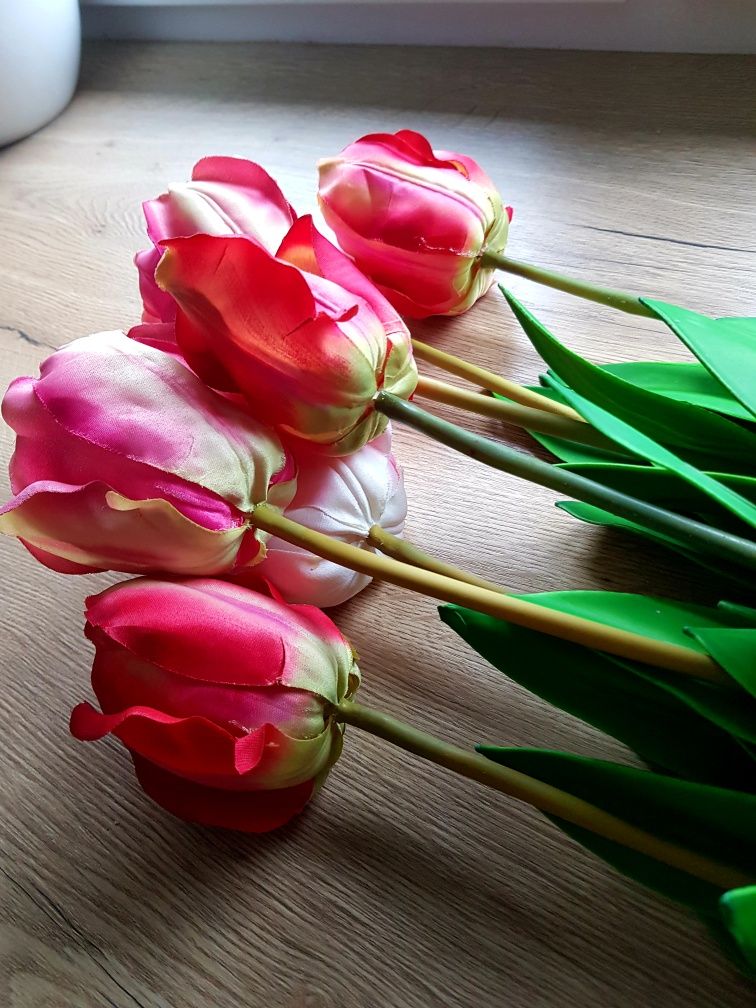 Kawiaty nowe tulipany 7 sztuk.