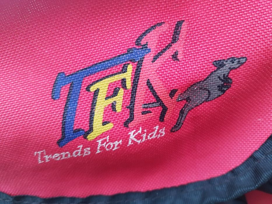 Wózek Do joggingu biegania biegowy TFK spacerowy biegus