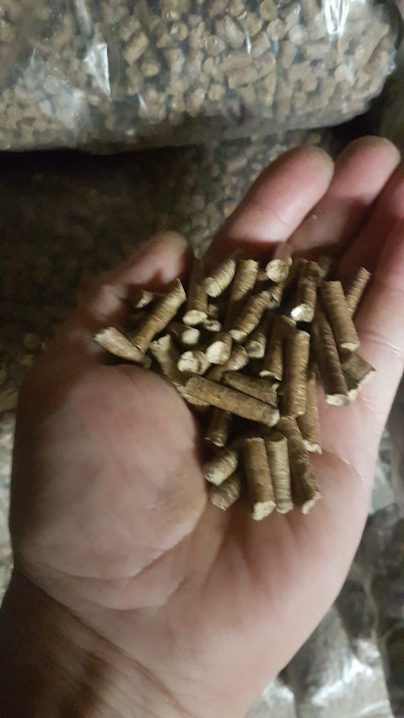 Pellet Pellet Pellet promocja