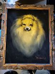 Obraz welurowy w drewnianej ramie pies pomeranian Szpic miniatury