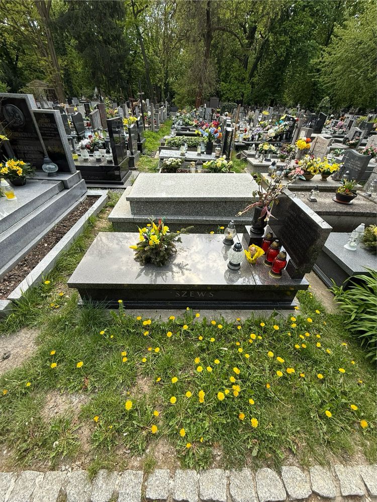 Nowy Grobowiec na Cmentarzu Rakowickim bardo dobra lokalizacja