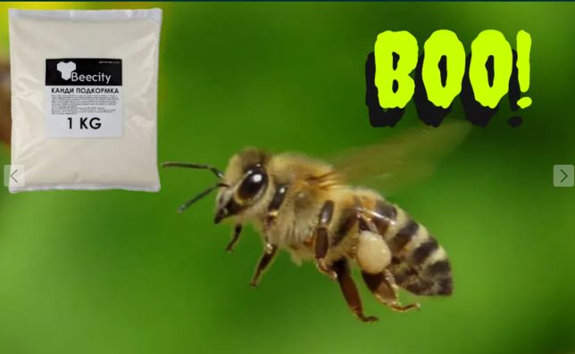 Канди для пчел-подкормка для пчел BeeCity