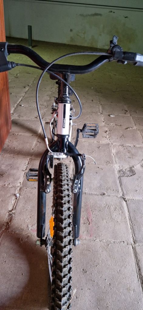 Bicicleta criança
