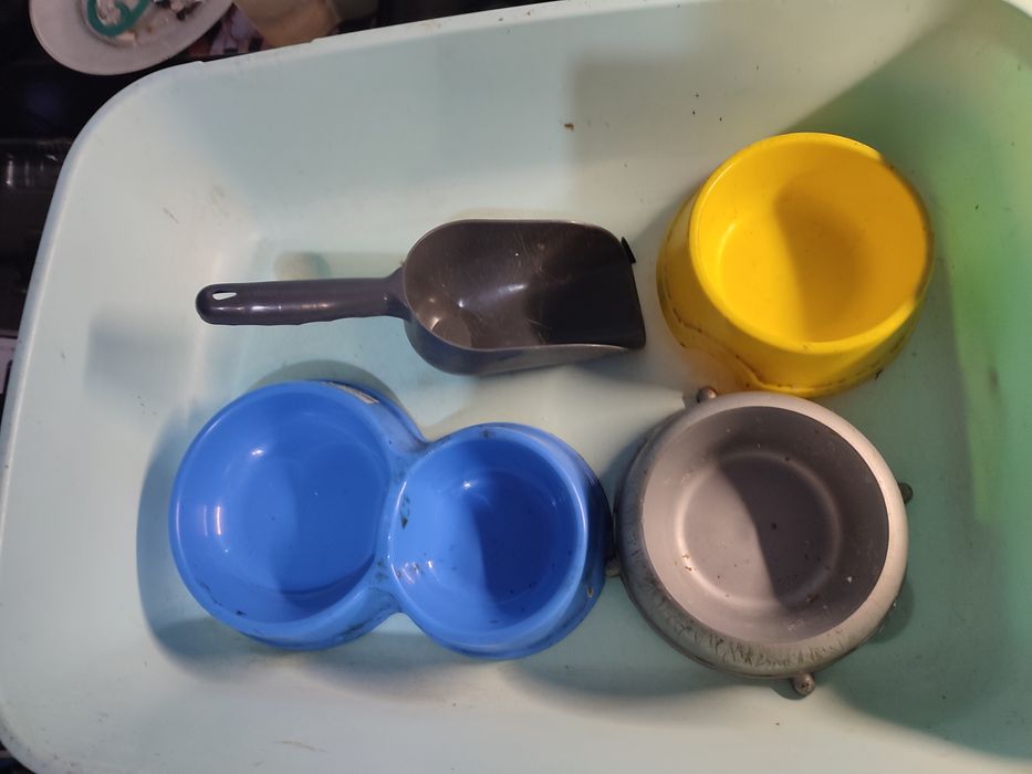 Лоток для котов.