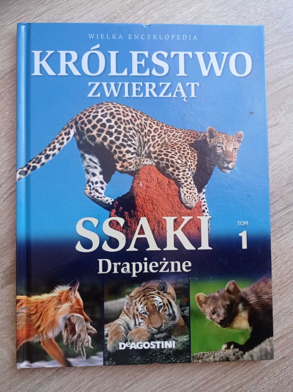 „Ssaki drapieżne" książka