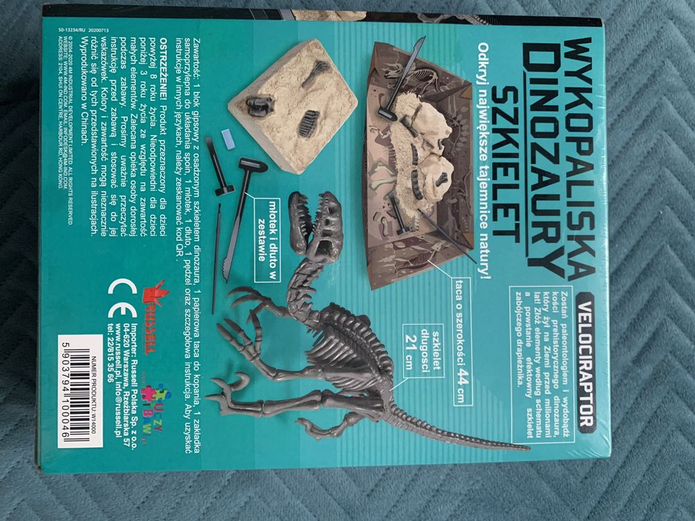 Wykopaliska dinozaury, Nowe. Velociraptor.
