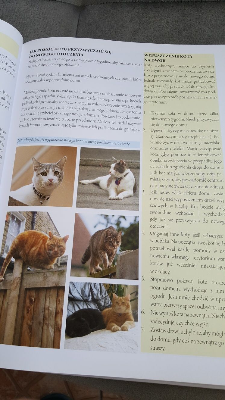Wielka encyklopedia kotów  Kot w domu