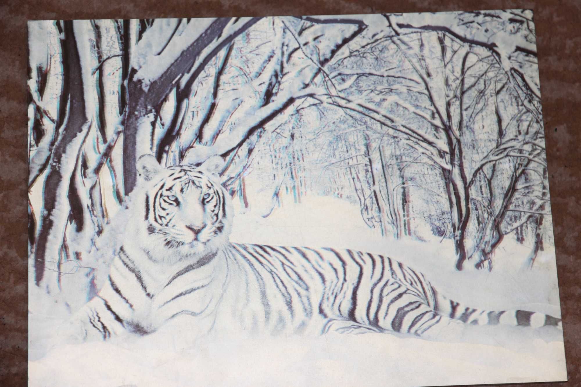 Obraz trójwymiarowy natura zwierzęta 30/40 cm