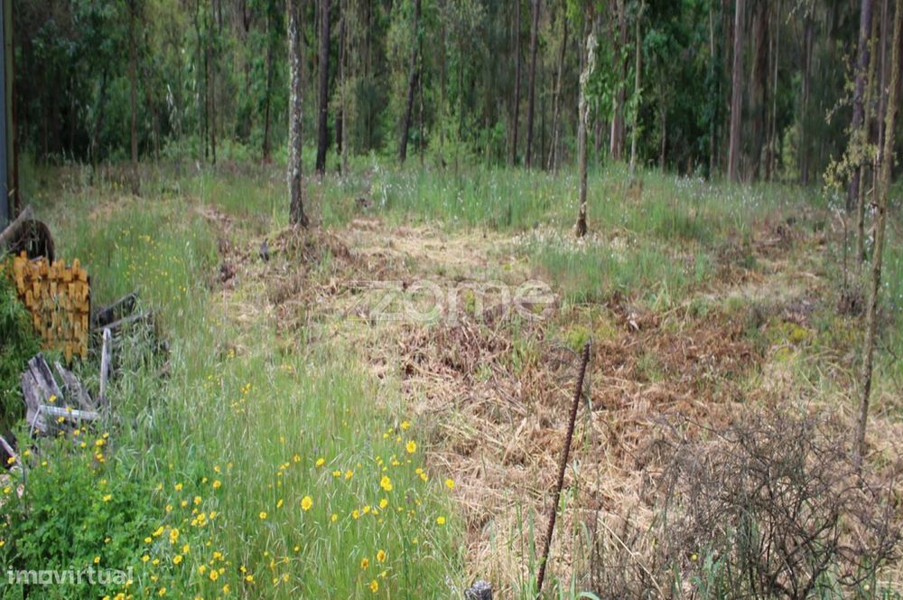 Lote com 45% de Implantação