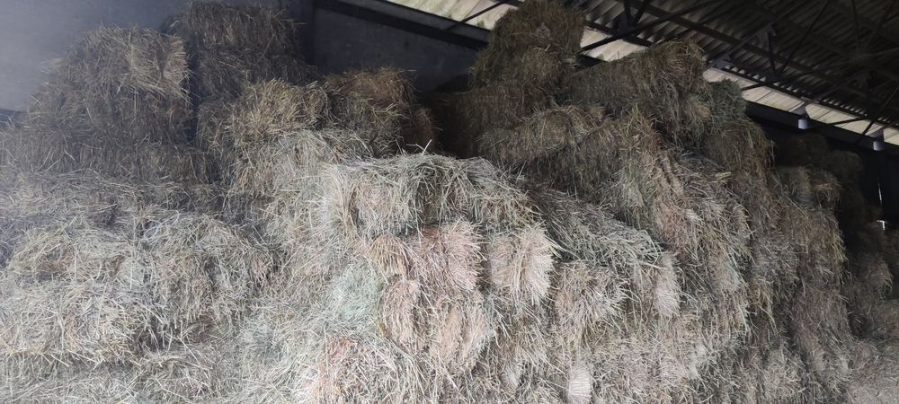 Сіно солома тюки