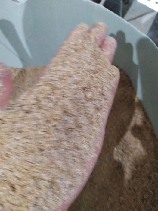 Продам висівку пшеничну