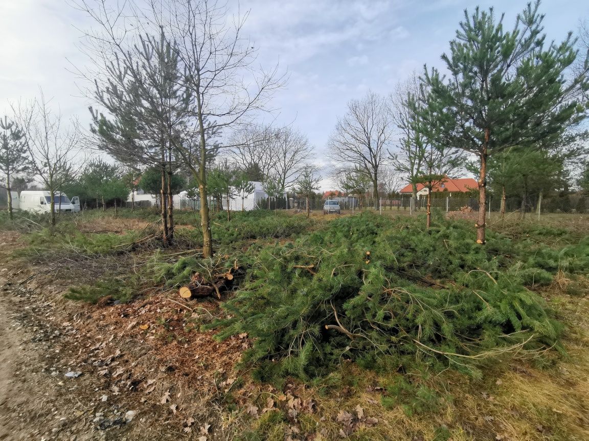 Podwyższanie terenu, równanie, zagęszczanie, drogi dojazdowe