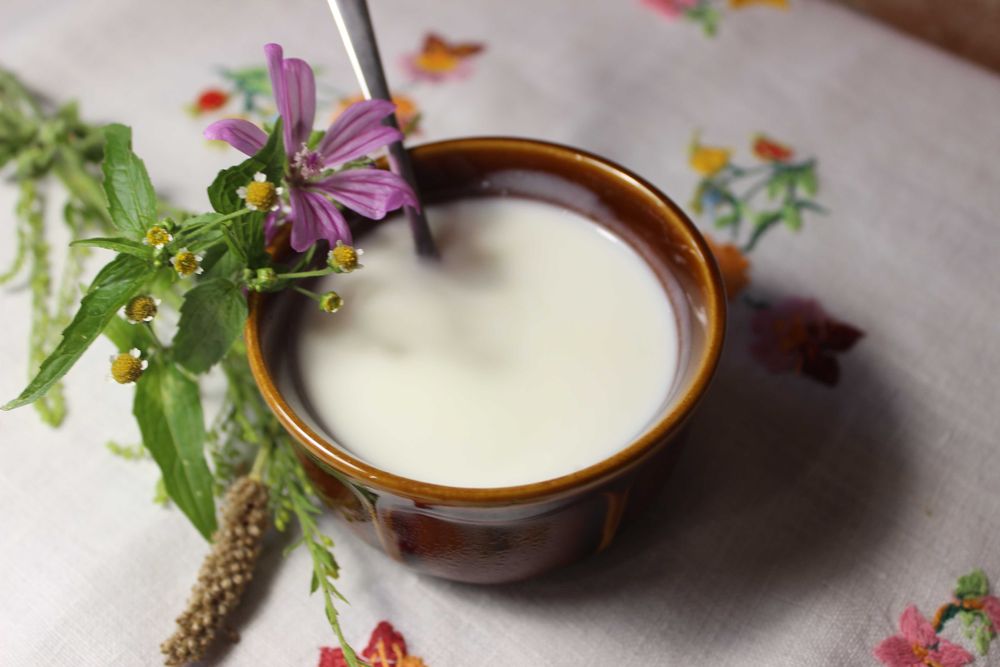 Naturalny jogurt oraz kefir domowej produkcji