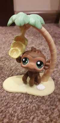 PLS Littlest pet shop zestaw małpka na wyspie