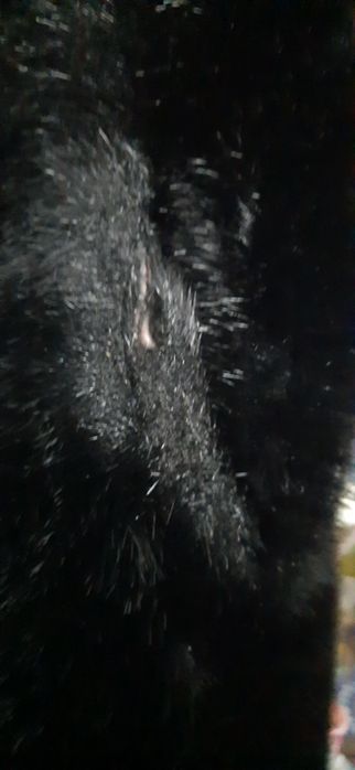 Kamizelka z naturalnego futra