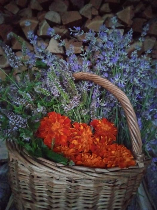 Фіточай, лікарські трави,  травяной чай
