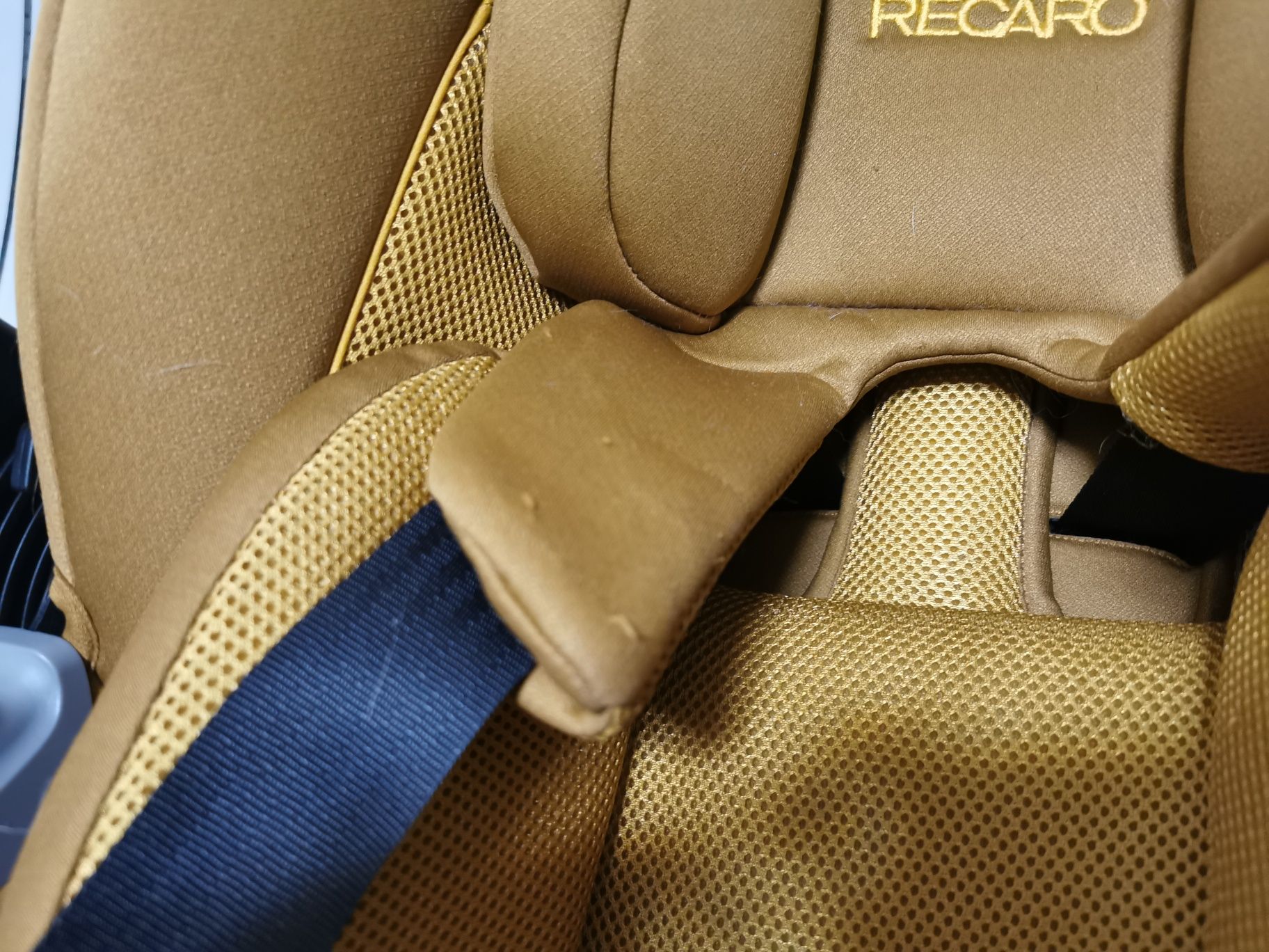 Автокрісло RECARO Avan (Select Sweet Curry)