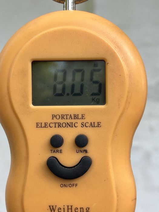 Вагові гирі 4 та 8 кг