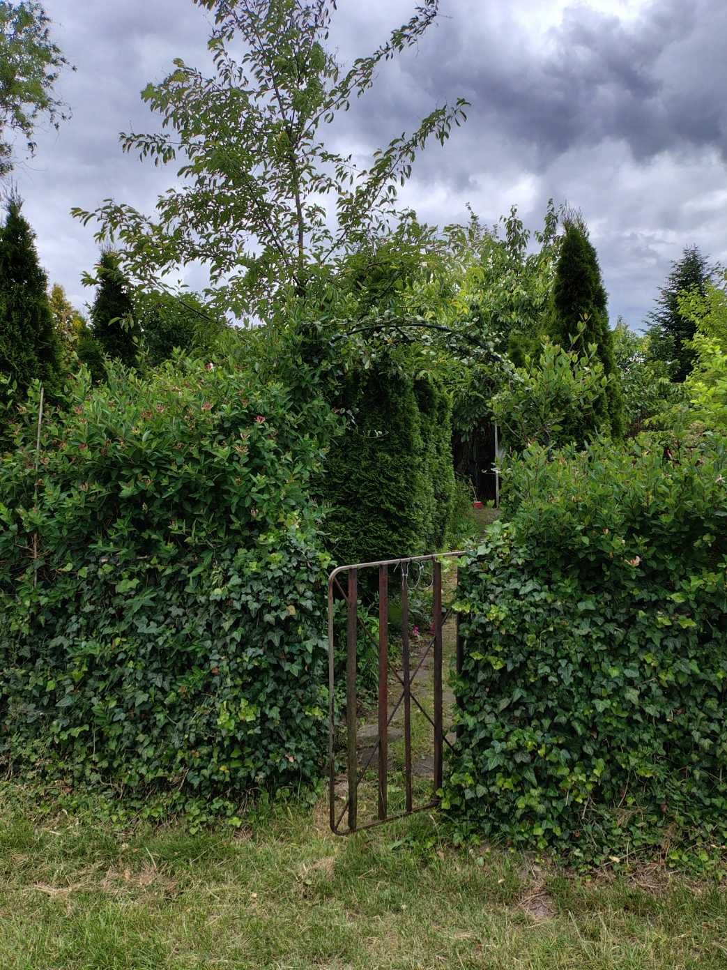 Działka ROD Poranek 340 m2 ul. Olkuska Łódź
